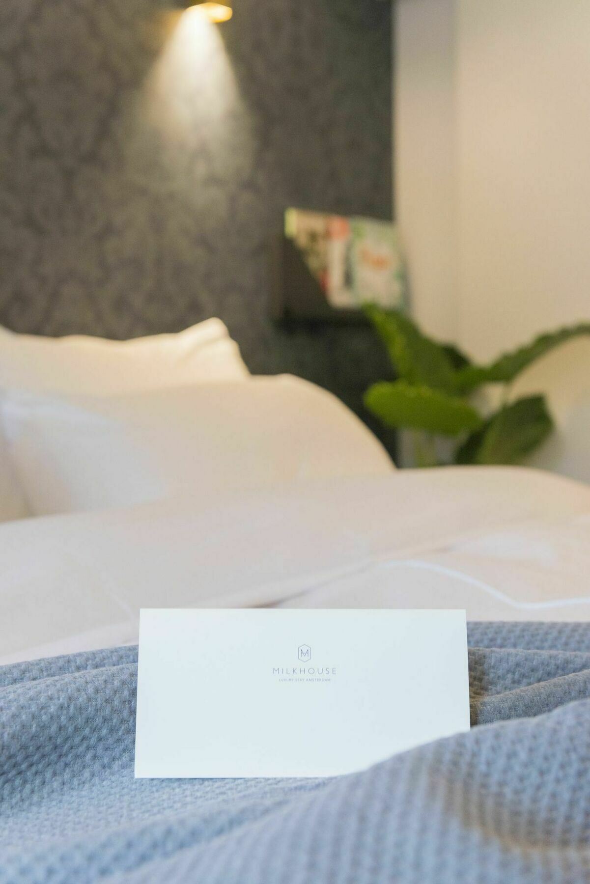Milkhouse Luxury Stay אמסטרדם מראה חיצוני תמונה